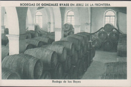 1930. ESPANA. Fine Postcard With Sherry Motive. BODEGAS DE GONZALEZ BYASS EN JEREZ DE LA FRONTERA. Bodega ... - JF445082 - Sonstige & Ohne Zuordnung