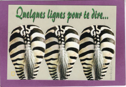 Humour  Animaux Humoristiques Illustrateur Signé DOMENEC  ZEBRES  Quelques Lignes Pour Te Dire  ... - Zebras