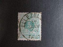 Nr 45 - Centrale Stempel "Ellezelles" - Coba + 4 - 1869-1888 Lion Couché (Liegender Löwe)