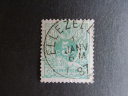 Nr 45 - Centrale Stempel "Ellezelles" - Coba + 4 - 1869-1888 Lion Couché (Liegender Löwe)