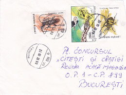 INSECTS, SNAKE, STAMPS ON COVER, 2000, ROMANIA - Cartas & Documentos