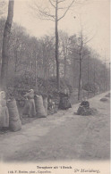 BRASSCHAAT EKEREN - ST. MARIABURG 1907 HOUT SPROKKELEN TERUGKEER UIT 'T BOSCH - MOOIE ANIMATIE - HOELEN KAPELLEN 118 - Brasschaat