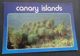 Canary Islands - Blue Line - Miguel Diaz, Las Palmas De Gran Canaria - FISA, Barcelona - Andere & Zonder Classificatie