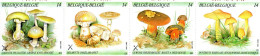 Champignons- Mushrooms XXX 1991 - 1953-2006 Modernes [B]