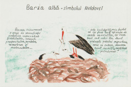 R. Moldova - Barza Alba - Simbolul Moldovei - Illustrateur - Reclama - Moldova