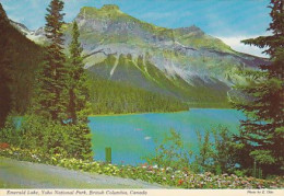 AK 180988 CANADA - British Columbia - Yoho National Park - Emerald Lake - Sonstige & Ohne Zuordnung