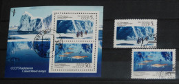 USSR SOVIET 1990, Cooperation In Antarctica, Fishes, Mi #6095-6 + B213, Used - Used Stamps