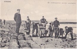 YERSEKE 1915 OESTERCULTUUR OESTER-INDUSTRIE OESTERS HUITRES OESTERPANNEN VERPLAATSEN - Yerseke