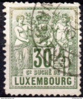 Luxemburg 1882 Wappenlöwe 30 C Perforated 13½ 1 Value Cancelled - 1882 Allegorie