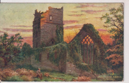 IRELAND - Muckross Abbey KILARNEY - Tuck Oilette - Dublin Postmark 1907 To Birkenhead UK - Kerry