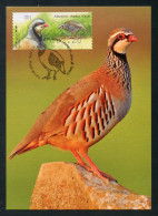 ISRAEL (2015) Carte Maximum Card ATM - Alectoris Chukar / Chukar Partridge / Perdiz / Perdrix Choukar - Bird, Oiseau - Maximum Cards