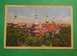 University Of Tampa And Tropical Foliage - Tampa