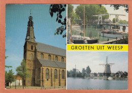 WEESP - GROETEN UIT - MOULIN A VENT WINDMILL WINDMÜHLE WINDMOLEN MOLINO DE VIENTO - ECRITE - Weesp