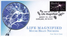 USA 2023 Life Magnified,Mouse Brain Neurons,Neuroscientists,Nerve Cells, Pictorial Postmark, FDC Cover (**) - Brieven En Documenten