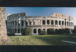 N3707 Roma - Colosseo O Anfiteatro Flavio / Non Viaggiata - Colosseo