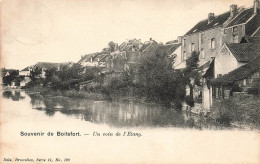 BELGIQUE - Souvenir De Boitsfort - Un Coin De L'Etang - Carte Postale Ancienne - Watermael-Boitsfort - Watermaal-Bosvoorde