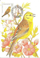 Carte Maximum - Oiseaux - Bulgarie - Escrevedeira Amarela - Bruant Jaune - Yellowhammer - Emberiza Citrinella - Autres & Non Classés