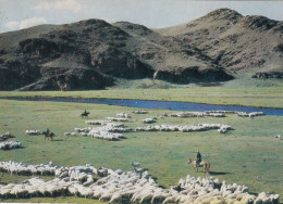 POSTCARD 1327,Mongolia - Mongolia