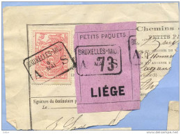 _V887: BRUXELLES-MIDI  A__S   6 MAI  ___> LIEGE : Geen Jaartal: SP11/ Fragment Met   " étiquette  PETITS PAQUETS : N° 73 - Dokumente & Fragmente