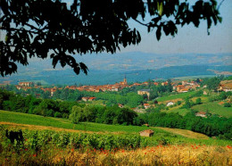 LE BOIS D ' OINGT   ( RHONE )  BIENVENUE DANS CETTE JOLIE REGION . . .  VUE GENERALE 1 - Le Bois D'Oingt