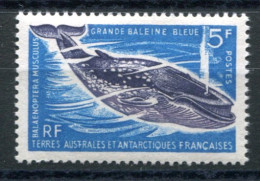 RC 26383 TAAF COTE 31€  N°22 FAUNE MARINE GRANDE BALEINE BLEUE NEUF * MH TB ( LÉGÈRES TRACES DE CHARNIÈRES ) - Nuevos