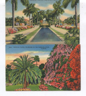 2 CPA - ETATS-UNIS FLORIDE MEMORIAL FOUNTAIN PALM BEACH & TROPICAL FLORAL - - Palm Beach