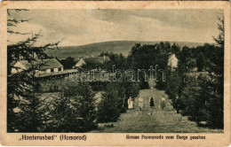 ** T3 Homoród, Honterusbad, Grosse Promenade Vom Berge Gesehen. Johann Weiss, F. Theil / Nagy Sétány A Fürdőben / Spa Pr - Unclassified