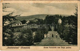 ** T3 Homoród, Honterusbad, Grosse Promenade Vom Berge Gesehen. Johann Weiss, F. Theil / Nagy Sétány A Fürdőben / Spa Pr - Non Classés