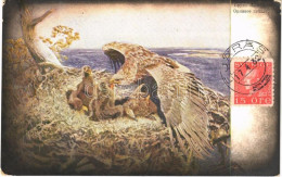 T2/T3 1932 L'aire D'aigle / The Sea Eagle's Nest. Swedish Art Postcard. TCV Card. S: Bruno Liljefors (EK) - Non Classés