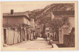 Cpa..84..ROBION..VAUCLUSE..AVENUE OSCAR ROULET - Robion