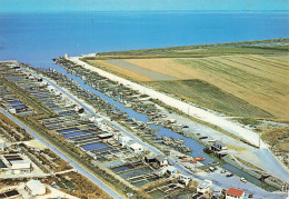 Beauvoir Sur Mer * Vue Aérienne Sur Le Port De L'époids Et Les Parcs Ostréicoles - Beauvoir Sur Mer