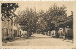 D 81. VIELMUR. BOULEVARD DES PLATANES - Vielmur Sur Agout