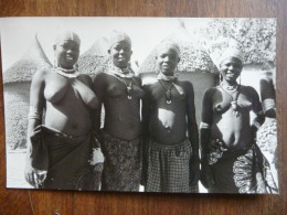 PHOTO ORIGINALE ANNEES 50 FEMMES DU CONGO CACHET DU STUDIO STOUT DE BELGIQUE BRUXELLES CHAUSSEE DE WAVRE - Unclassified