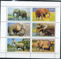 TIMBRE STAMP ZEGEL THEMATIQUE MAMMIFERE FAUNE ELEPHANT JEWISH REPUBLIQUE ( RUSSIE )  XX - Siberia And Far East