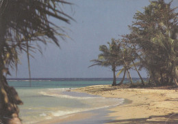 Jamaica - White Sand Beach & Coral Reef Old Postcard - Jamaica