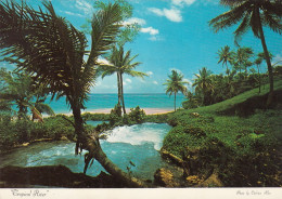 Jamaica Tropical River Old Postcard - Jamaica