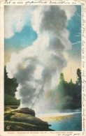 USA Yellowstone Park MT Riverside Geyser - Other & Unclassified