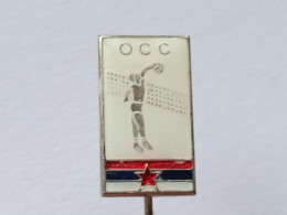 BADGE Z-95-1 - VOLLEYBALL, VOLLEY-BALL, ASSOCIATION DE VOLLEYBALL DE SERBIE - Volleyball