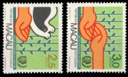 (071) Macau  Youth Year / Jeunesse / Jugendjahr  ** / Mnh   Michel 533-34 - Sonstige & Ohne Zuordnung