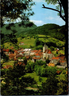 47128 - Niederösterreich - Türnitz , Panorama - Gelaufen 1973 - Lilienfeld