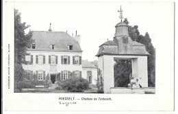 Belgique  -  Hoesselt  -  Chateau  De  Terbosch - Hoeselt - Hoeselt