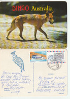 Greetings From Darwin NT, With DINGO,the Wild Australian DOG, Postcard Sent To ANDORRA, (Principality) Europa. 2 PICS - Ohne Zuordnung