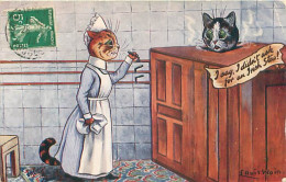 Illustrateur Louis Wain - Raphael Tuck - Chats Humanisés    R 66 - Wain, Louis