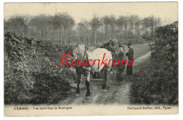 Kemmel Paard En Kar Attelage Geanimeerd  Une Halte Dans La Montagne (In Zeer Goede Staat) - Heuvelland