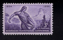 1913033301 1954 SCOTT 1060 (XX) POSTFRIS MINT NEVER HINGED  - NEBRASKA TERRITORY ISSUE - Ungebraucht