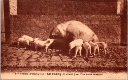 CPA -  SELECTION   -  LE PARCQ  -  Ferme D' Héroville . Une Belle Famille (cochons) - Le Parcq