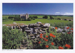 AK 182656 SCOTLAND - Castle Stewart Bei Inverness - Inverness-shire