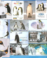 JAPAM 12 Rarer NTT Used Phonecards  PINGUINES - Collections
