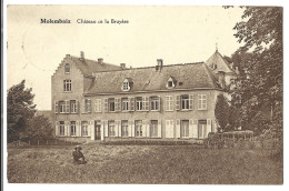 Belgique  - Molembaix  - Chateau De La Bruyere   - Baronne  Gilles De  Telichy Par Celles - Celles