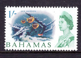 Bahamas 1965 Pictorials - 1/- Sea Gardens HM (SG 256a) - 1963-1973 Autonomie Interne